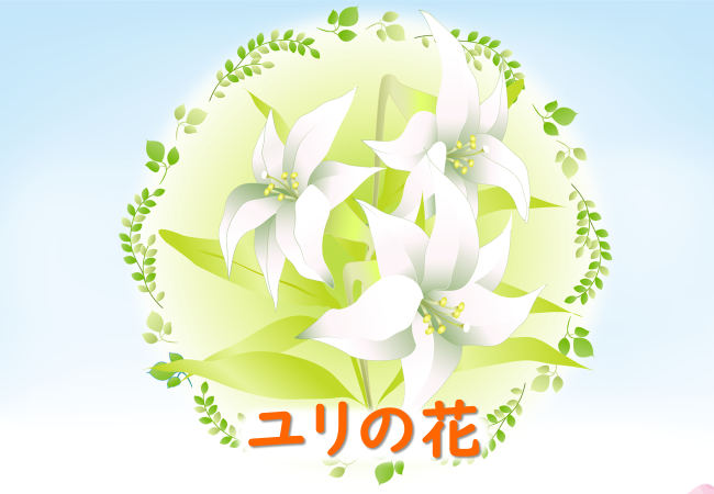 【C芽】ひとこと科学70「ユリの花」